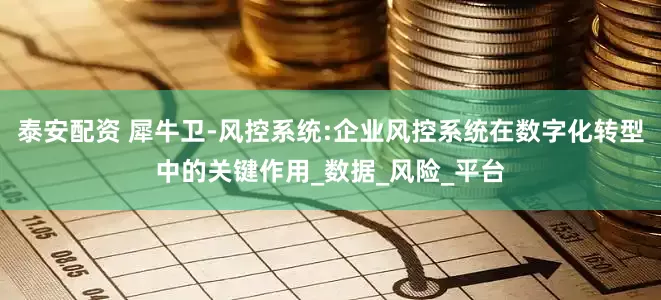 泰安配资 犀牛卫-风控系统:企业风控系统在数字化转型中的关键作用_数据_风险_平台