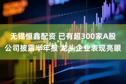 无锡恒鑫配资 已有超300家A股公司披露半年报 龙头企业表现亮眼