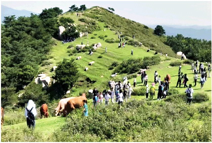 易盛通 “野生景点”成网红,欢喜之后是考题