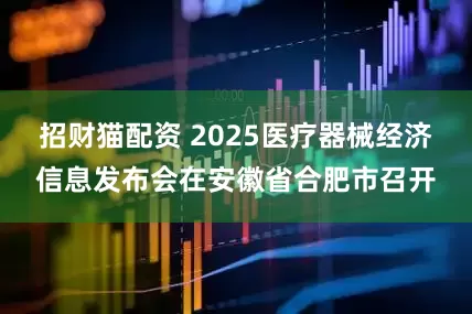 招财猫配资 2025医疗器械经济信息发布会在安徽省合肥市召开