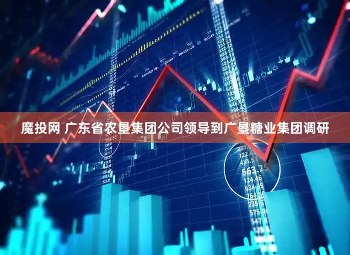 魔投网 广东省农垦集团公司领导到广垦糖业集团调研
